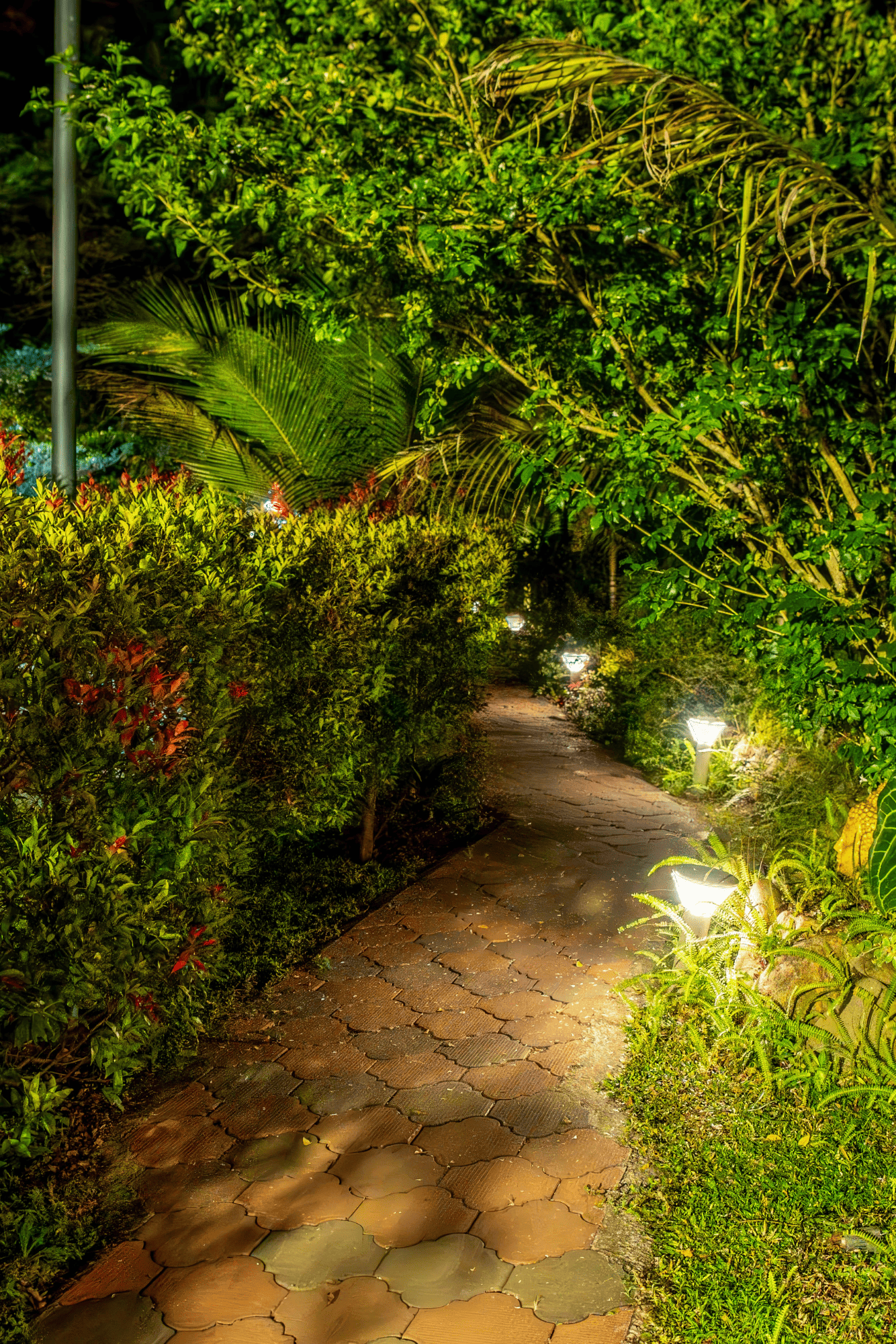 Oxy Valley Luxury Resort